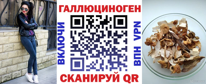 Галлюциногенные грибы Psilocybine cubensis  Избербаш 